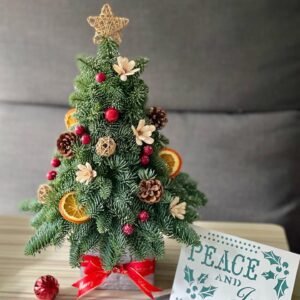 Fresh Mini Christmas Tree