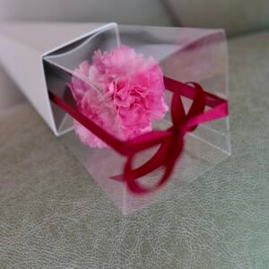 Alternative view of Fleur Bliss Single Stalk – “Pink Gratitude Carnation”