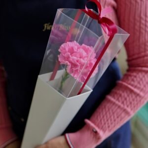 Fleur Bliss Single Stalk – “Pink Gratitude Carnation”